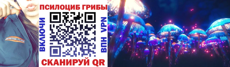 Галлюциногенные грибы Psilocybe  даркнет сайт  Балахна 